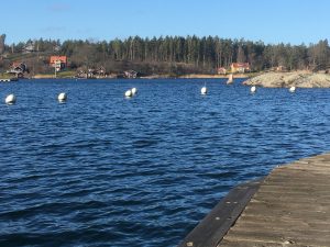 Läs mer om artikeln Renovering av Rågetebryggan