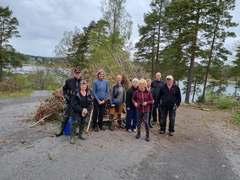 Läs mer om artikeln Lyckad städdag!