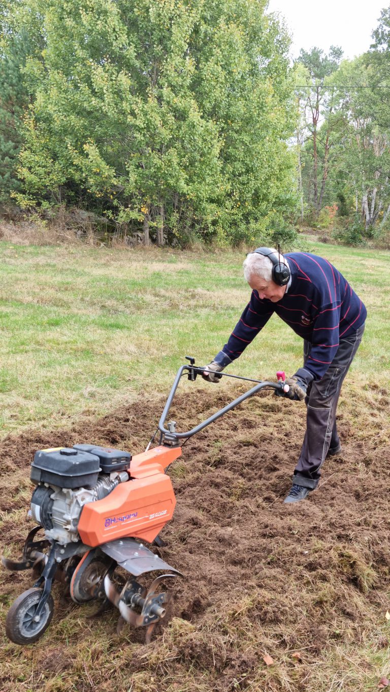 Läs mer om artikeln Nästa steg för Fyrtorps äng