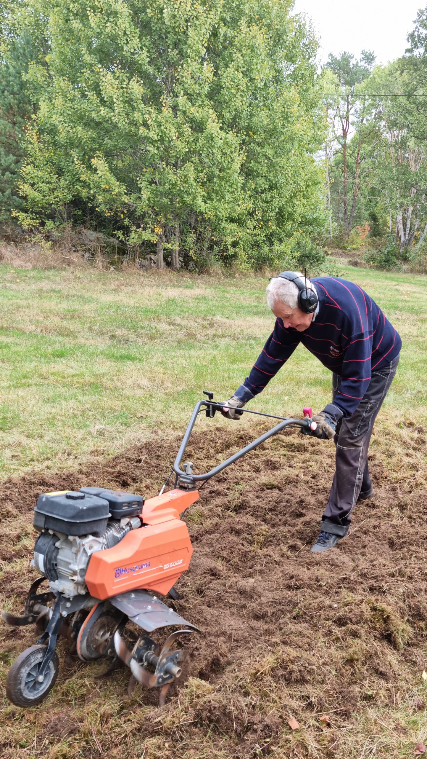 Du visar för närvarande Nästa steg för Fyrtorps äng