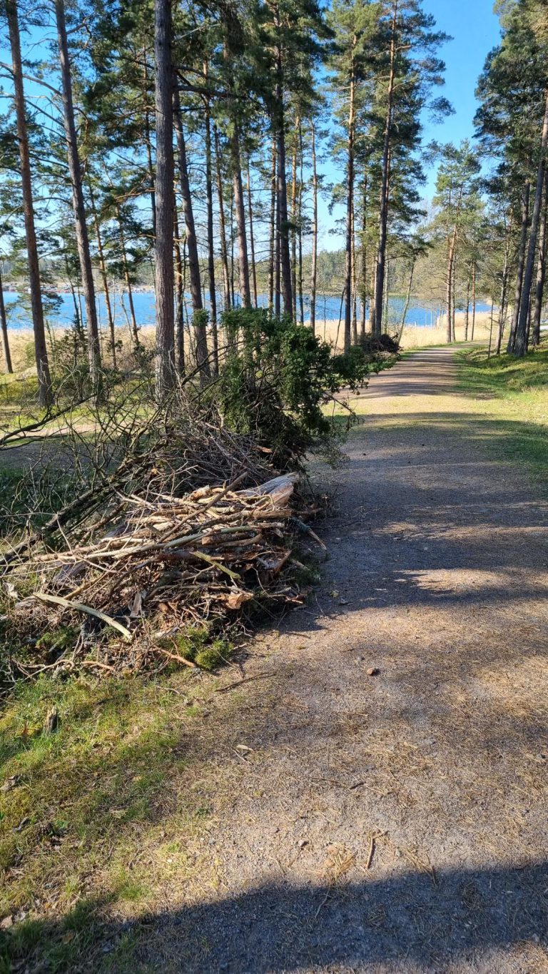 Läs mer om artikeln Städdagen igår, 13 maj!