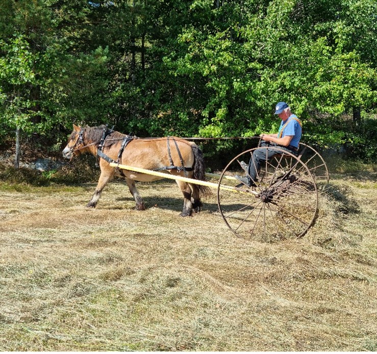 Du visar för närvarande Gammaldags slåtter på Fyrtorps och Hagby ängar